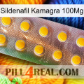 Sildenafil Kamagra 100Mg new11